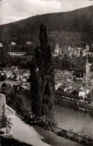 Ak Heidelberg am Neckar, Blick über das Philosophengärtchen