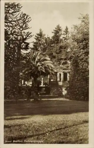 Ak Insel Mainau im Bodensee, Palmengruppe