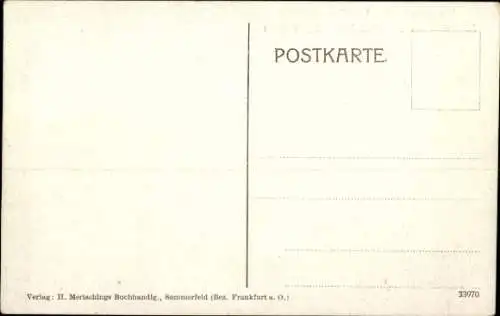 Ak Lubsko Sommerfeld Ostbrandenburg, Schloss Dolzig, Geburtsstätte der Kaiserin