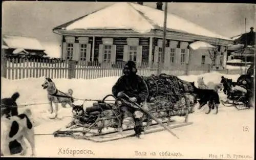 Ak Chabarowsk Russland, Hundeschlitten im Winter