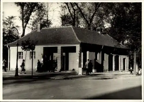 Foto Zwickau in Sachsen, Gebäude, Spaziergänger