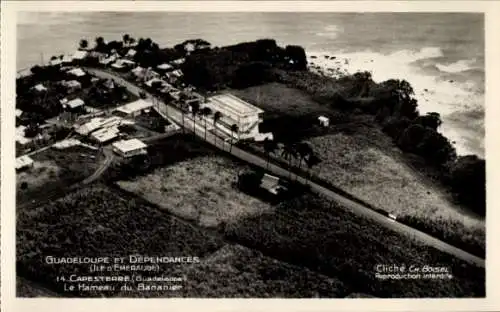 Ak Capesterre Guadeloupe, Chameau du Bananier