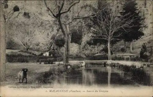 Ak Malaucene Vaucluse, Source du Grozeau