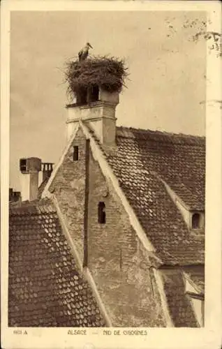 Ak Châtenois Kestenholz Elsass Bas Rhin, Storchennest