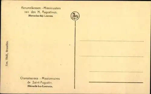 Ak Afrikanische Tierwelt, Elefant, Kongo