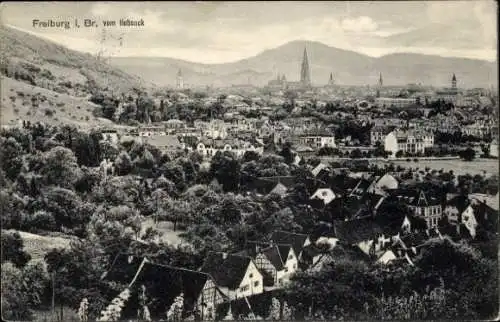 Ak Freiburg im Breisgau, Panorama vom Hebsack aus