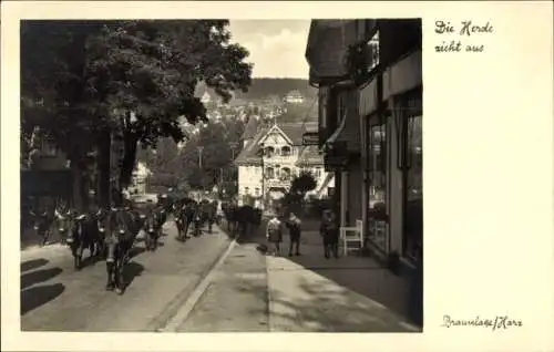 Ak Braunlage im Oberharz, Straßenpartie mit Viehtrieb, Die Kuh Herde zieht aus