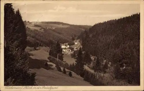 Ak Fitschendorf Wurzbach, Blick in den Rodachgrund