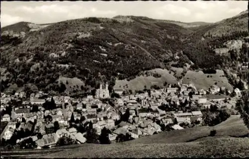 Ak Todtnau im Schwarzwald, Panorama