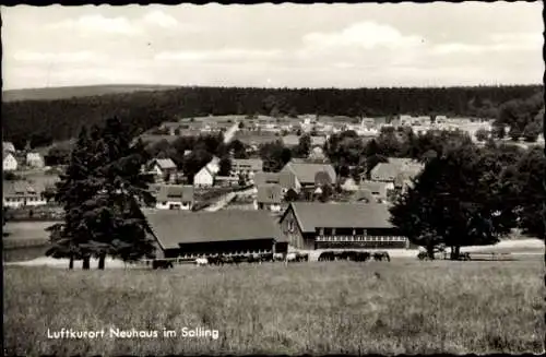 Ak Neuhaus im Solling Holzminden Niedersachsen, Gesamtansicht