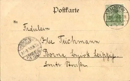 Passepartout Ak Waldheim in Sachsen, Teilansicht, Fische