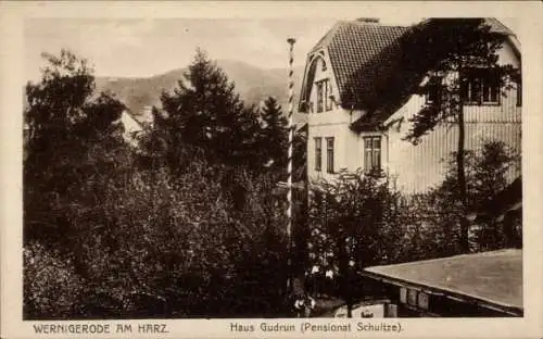 Ak Wernigerode im Harz, Haus Gudrun, Pensionat Schultze