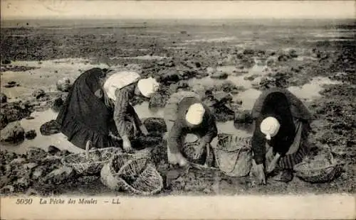 Ak Honfleur-Calvados, La Peche des Muscheln