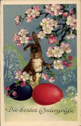 Ak Frohe Ostern, Osterhase, Ostereier, Blumen