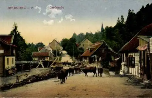 Ak Schierke Wernigerode im Harz, Dorfstraße, Viehtrieb