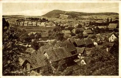 Ak Oker Goslar am Harz, Totalansicht