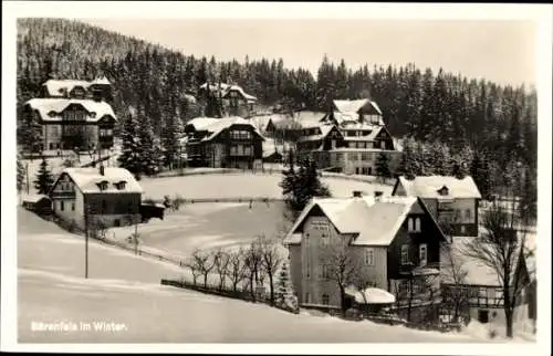 Ak Bärenfels Altenberg im Erzgebirge, Teilansicht, Winter