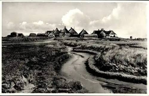 Ak Hallig Hooge in Nordfriesland, Hanswarf