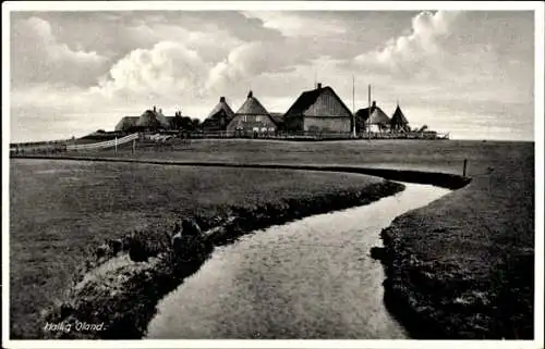 Ak Hallig Oland in Nordfriesland, Sicht auf den Ort