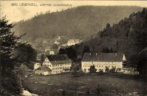 Ak Bad Liebenzell im Schwarzwald, Teilansicht