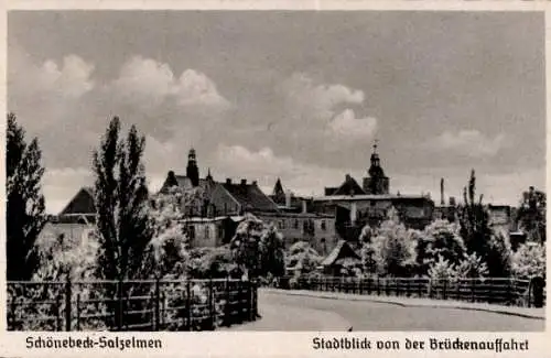 Ak Salzelmen Schönebeck an der Elbe, Stadtblick, Brückenauffahrt