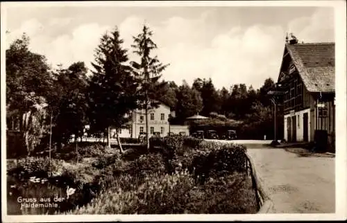 Ak Dresden Langebrück, Dresdner Heide, Heidemühle, Haidemühle