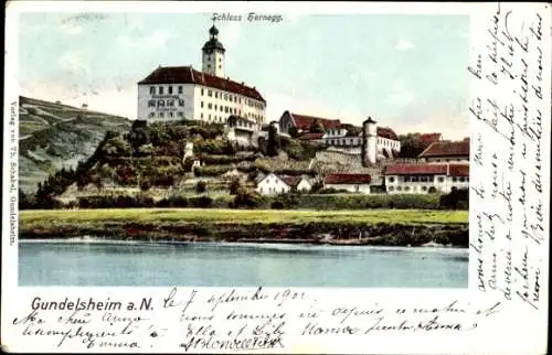 Ak Gundelsheim am Neckar Württemberg, Teilansicht, Schloss Hornegg