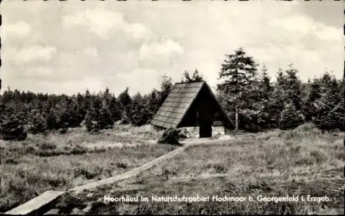 Ak Zinnwald Georgenfeld Altenberg im Erzgebirge, Moorhäusl, Hochmoor