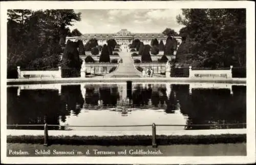 Ak Potsdam, Schloss Sanssouci, Terrassen, Goldfischteich