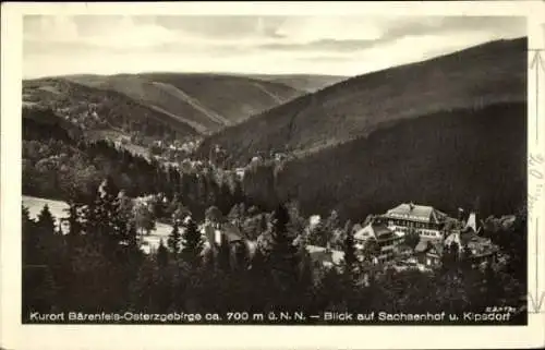 Ak Bärenfels Altenberg im Erzgebirge, Panorama, Sachsenhof, Kipsdorf