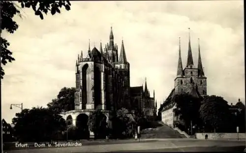 Ak Erfurt in Thüringen, Dom, Severikirche