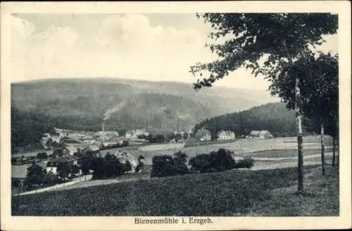 Ak Bienenmühle im Erzgebirge, Gesamtansicht