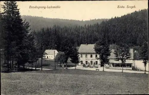 Ak Hirschsprung Altenberg, Blick auf das Gasthaus Zur Lademühle, Talansicht mit Wald