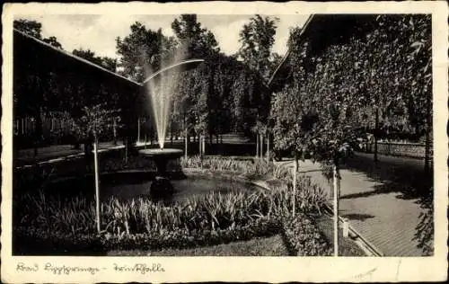 Ak Bad Lippspringe in Westfalen, Kurpark