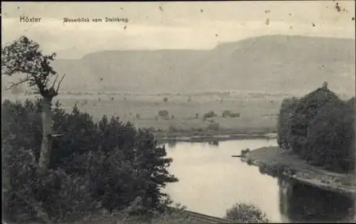 Ak Höxter in Nordrhein Westfalen, Weser, Blick vom Steinkrug