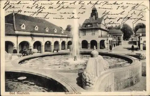 Ak Bad Nauheim in Hessen, Sprudel