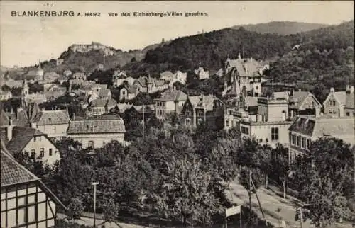 Ak Blankenburg am Harz, Blick von den Eichenberg-Villen