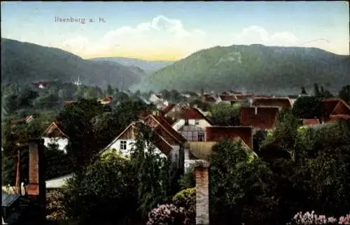 Ak Ilsenburg im Harz, Gesamtansicht