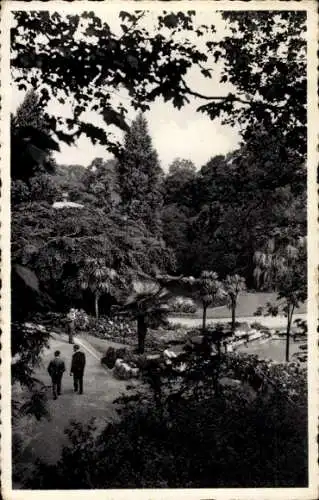 Ak Antwerpen Antwerpen Flandern, Zoologischer Garten