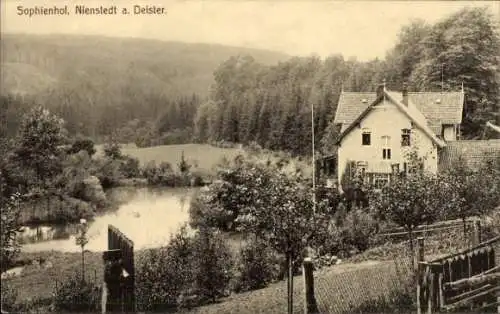 Ak Nienstedt Bad Münster am Deister, Der Sophienhof mit Teich