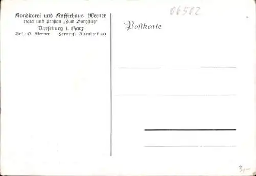 Ak Treseburg Thale im Harz, Konditorei und Kaffeehaus Werner, Außenansicht