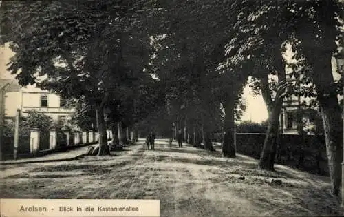 Ak Bad Arolsen in Hessen, Blick in die Kastanienallee