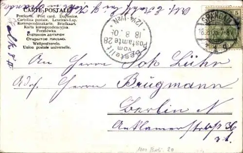 Ak Berlin Spandau, Breitestraße, Straßenbahn Nr. 127, Geschäft Pieck