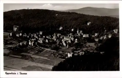 Ak Eppenhain Kelkheim im Taunus, Fliegeraufnahme