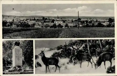 Ak Ellern Hunsrück, Kriegerdenkmal, Hirsche, Blick auf den Ort, Feld