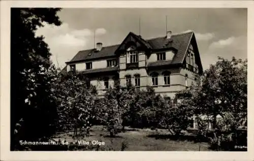 Ak Schmannewitz Dahlen in Sachsen, Villa Olga, Hotel-Pension