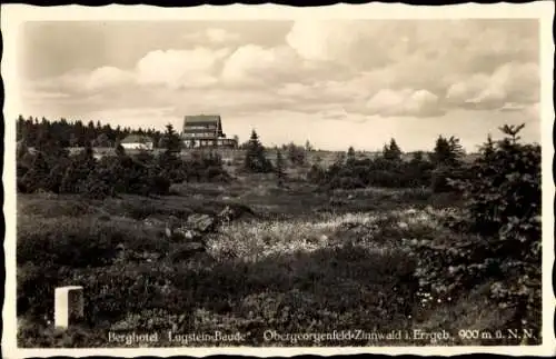 Ak Zinnwald Georgenfeld Altenberg im Erzgebirge, Berghotel Lugstein-Baude, Hochmoor