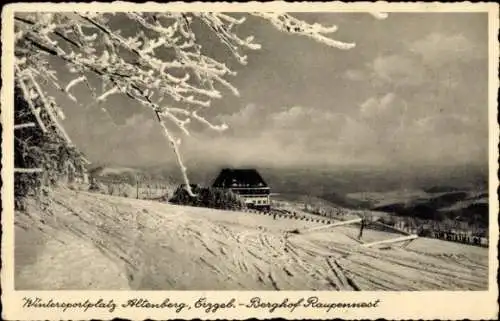 Ak Altenberg im Erzgebirge, Berghof Raupennest, Winter