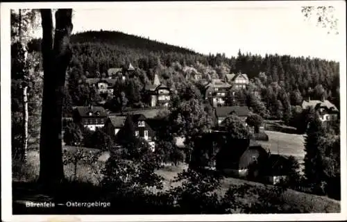 Ak Bärenfels Altenberg im Erzgebirge, Teilansicht, Wald