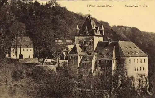 Ak Liebstadt im Erzgebirge, Schloss Kuckuckstein